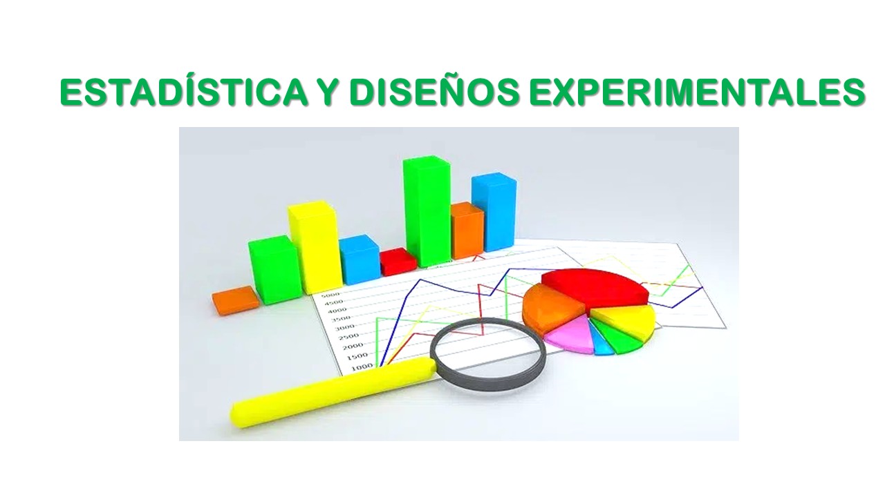 2MISP_Estadística